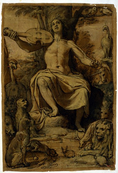 Orfeo che incanta gli animali con la musica di un violino. Disegno di Federico Zuccari (1542 - 1609) da or Zuccaro Federico Zuccari