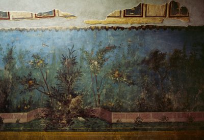 Affresco raffigurante un giardino con alberi e uccelli, dalla Casa di Livia sul Palatino, Roma, Italia. Civiltà romana da Unbekannt Unbekannt