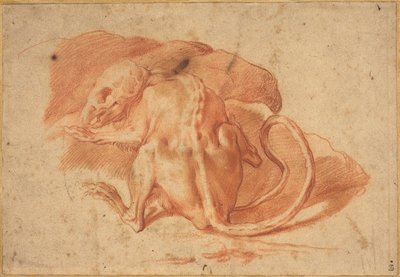 Un Ratto Parzialmente Spellato da possibly Florentine or Roman Italian 16th