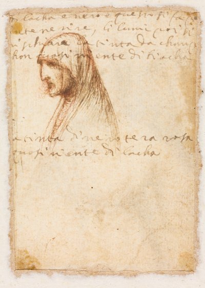 Profilo a Mezzo Busto di una Vecchia (verso) da possibly by Dosso Dossi