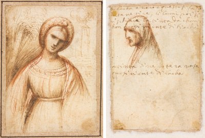 Signora in un Paesaggio (recto); Profilo a Mezzo Busto di una Vecchia (verso) da possibly by Dosso Dossi