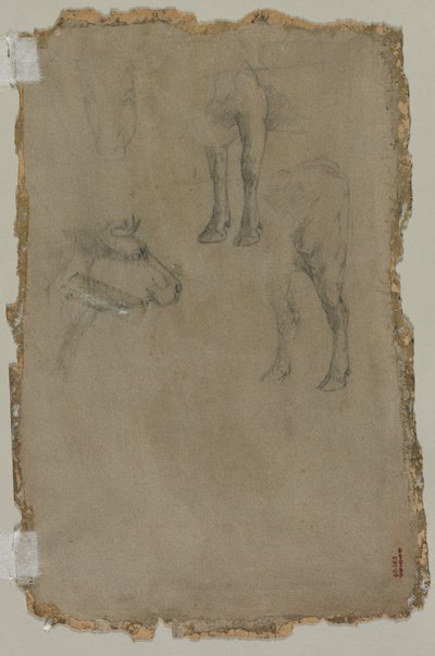 Studi di un Toro (verso) da possibly by Johan Barthold Jongkind