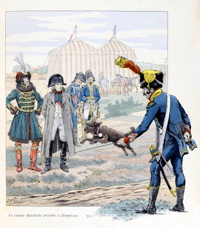 Illustrazione dal libro 