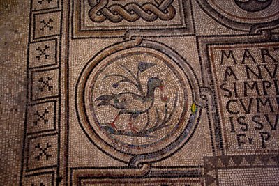 (dettaglio) di decorazione del pavimento (mosaico) da School Italian