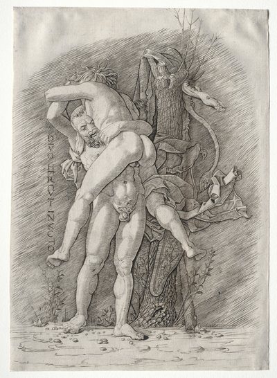 Ercole e Anteo da school of Andrea Mantegna