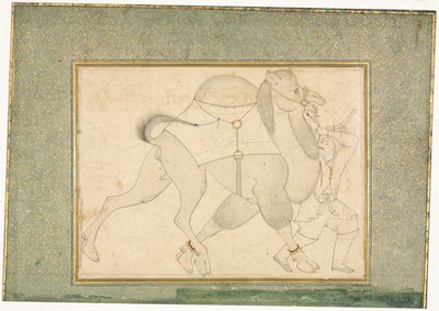 Cammello e groom; Illustrazione a pagina singola da style of Shaykh Muhammad
