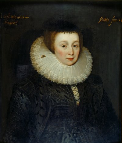 Ritratto di Lady Emily Howard, inizio XVII secolo da the Younger School of Marcus Gheeraerts