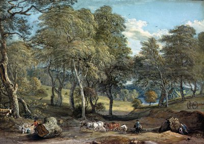 Foresta di Windsor con legname di disegno del bue, 1798 da Paul Sandby