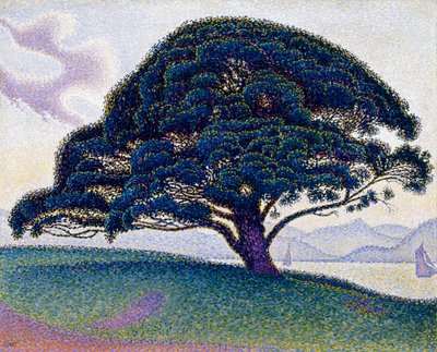Il pino Bonaventura, 1893 da Paul Signac
