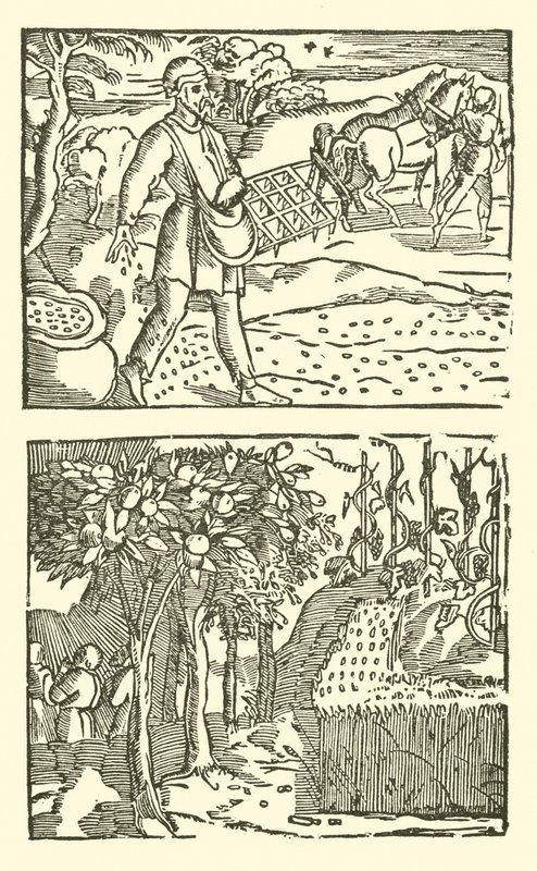 Illustrazione per The Roxburghe Ballads da (after) English School