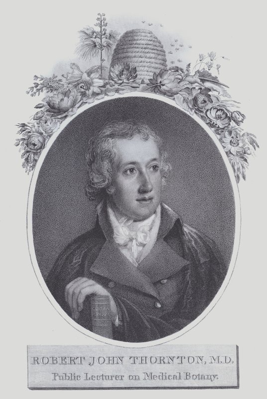 Robert John Thornton (litografia) da (after) English School