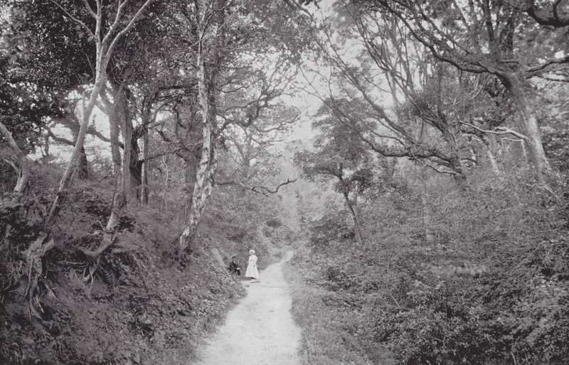 Fairlight Glen da (after) English photographer