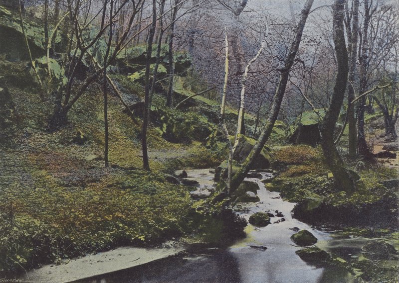 Vaux de Cernay, Le Cascate da (after) French Photographer