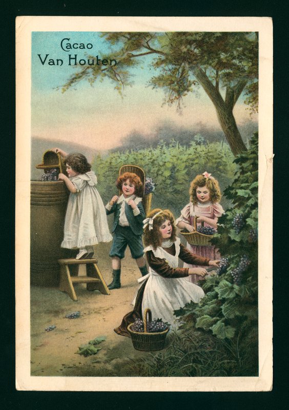 Bambini che raccolgono uva (cromolitografia) da (after) French School