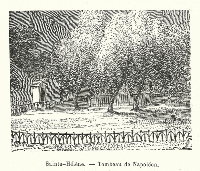 Sainte-Helene, Tomba di Napoleone da (after) French School