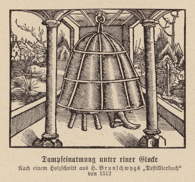 Inalazione di vapore sotto una campana da (after) German School
