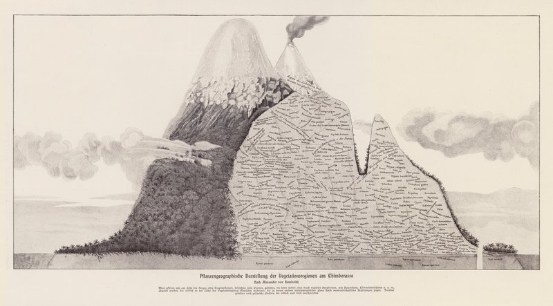 Regioni di vegetazione del Chimborazo, Ecuador da (after) German School