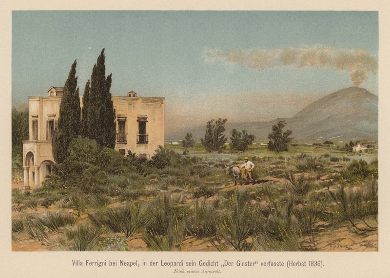 Villa Ferrigni, vicino a Napoli da (after) German School