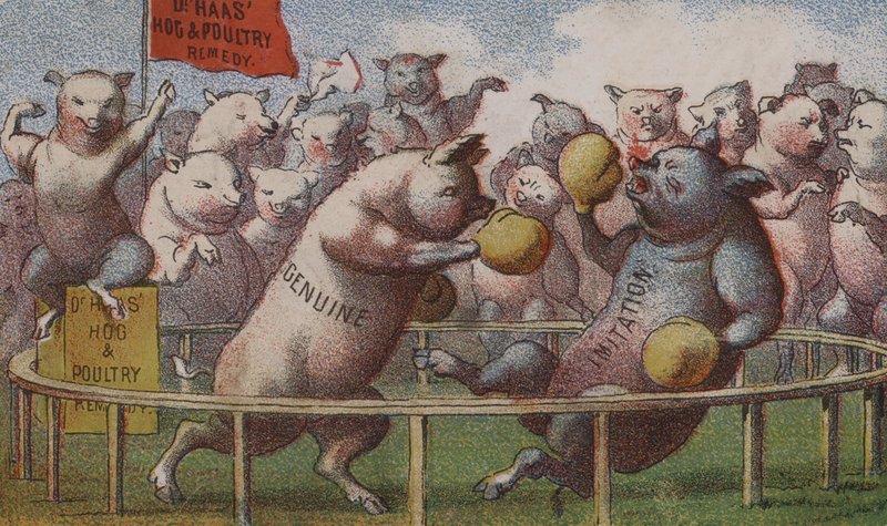 Cartolina pubblicitaria americana per il rimedio per maiali e pollame Dr Haas da American School