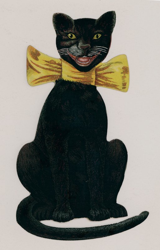 Gatto nero con un fiocco giallo da American School