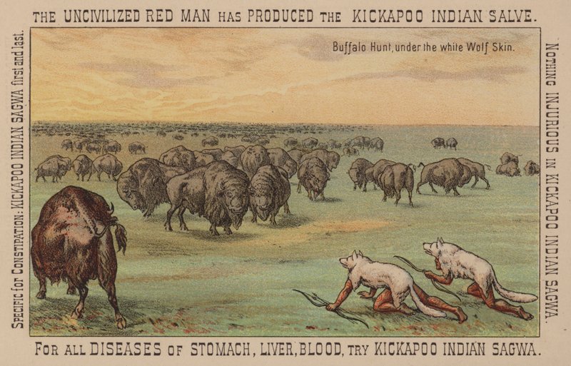 Nativi americani che indossano pelli di lupo bianco cacciano bufali da American School