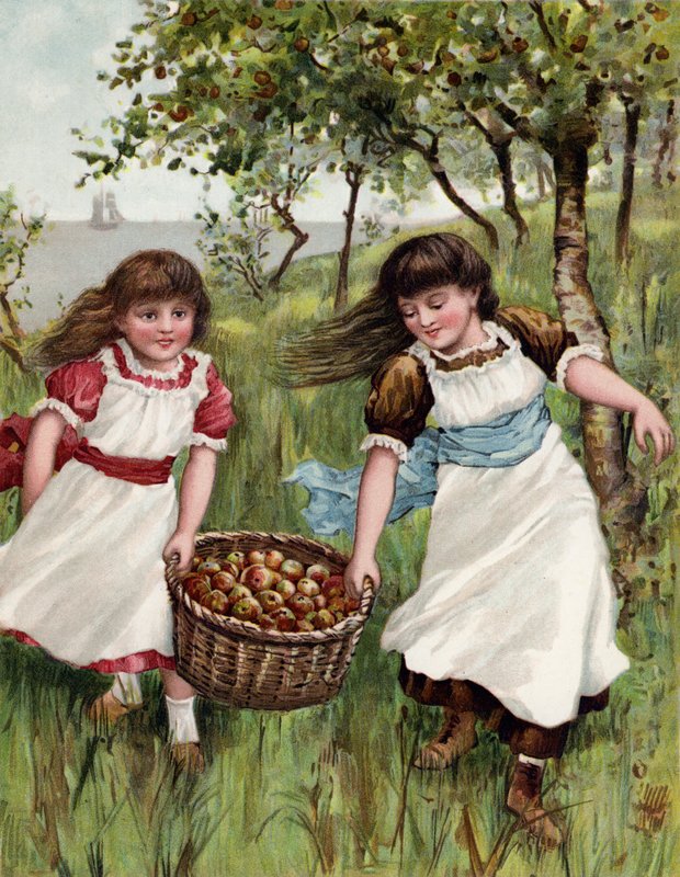 Un cesto di frutta estiva da English School