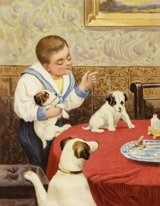 Un boccone invitante da English School