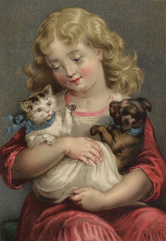 I miei animali domestici da English School
