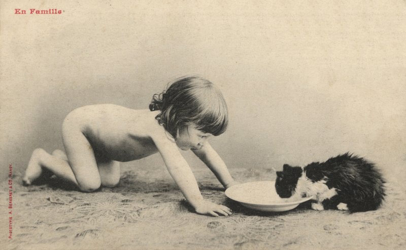 Bambino con un gattino da French Photographer