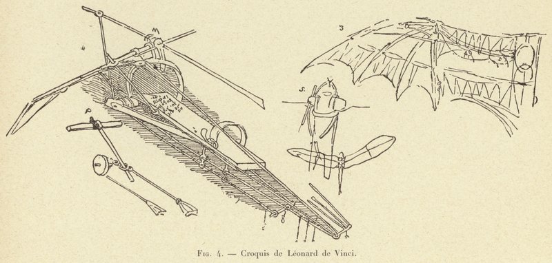 Schizzo di Leonardo da Vinci da French School