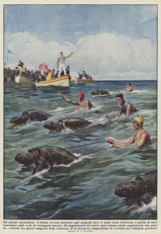Gli allegri australiani da Achille Beltrame