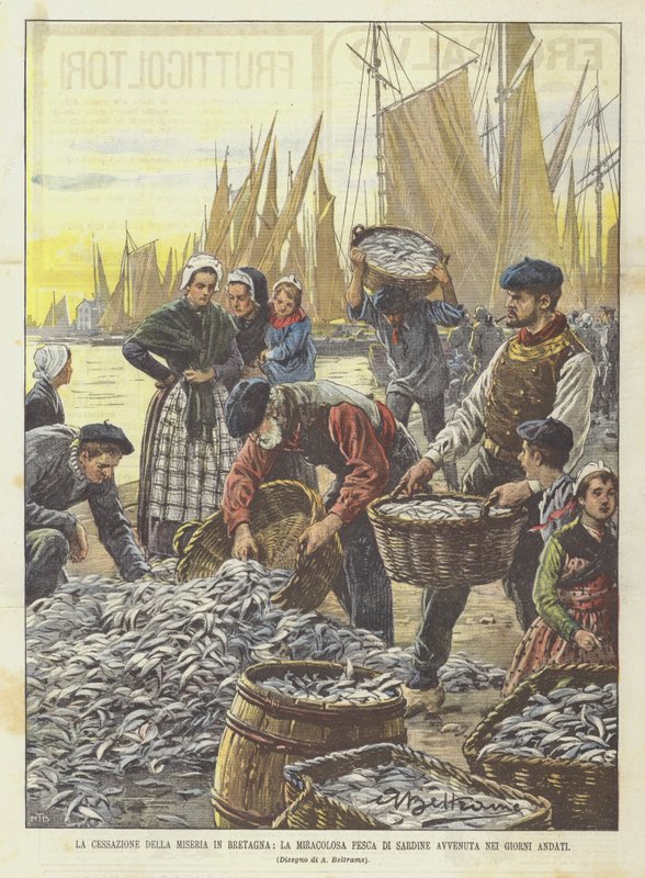 La cessazione della miseria in Bretagna, la miracolosa pesca di sardine avvenuta nei giorni andati da Achille Beltrame