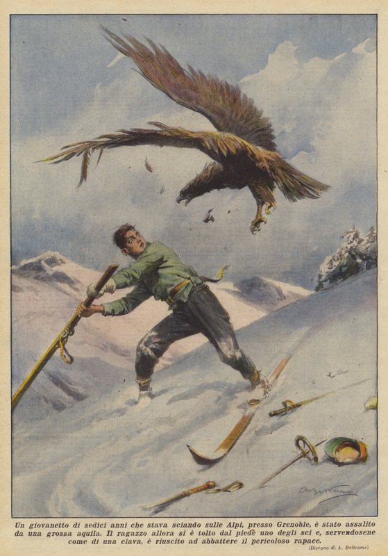 Un giovanetto di sedici anni che stava sciando sulle Alpi, presso Grenoble, è stato assalito da una grossa aquila da Achille Beltrame