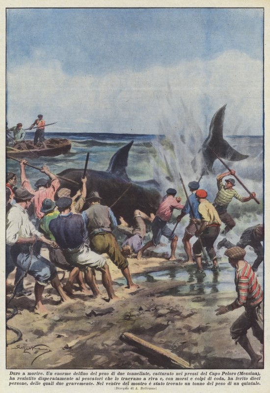 Duro a morire da Achille Beltrame