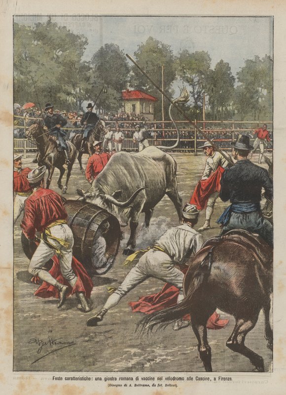 Feste caratteristiche, una giostra romana di vaccine nel velodromo alle Cascine, a Firenze da Achille Beltrame