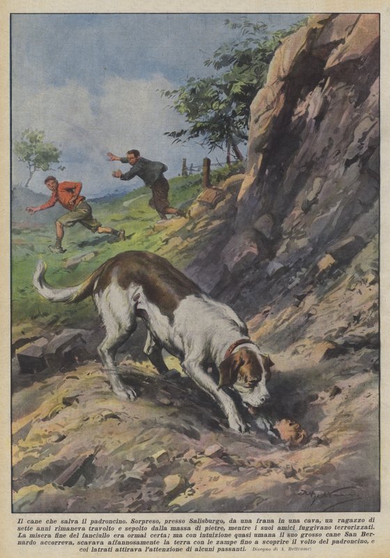 Il cane che salva il padroncino da Achille Beltrame