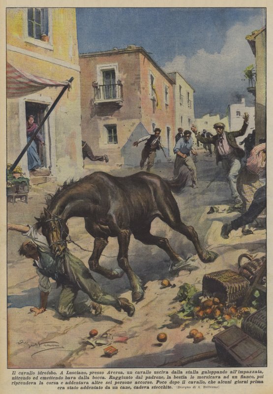 Il cavallo idrofobo da Achille Beltrame