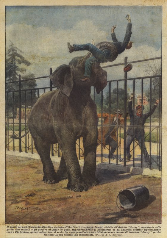 Il delitto del pachiderma da Achille Beltrame