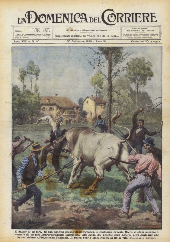 Il delitto di un toro da Achille Beltrame