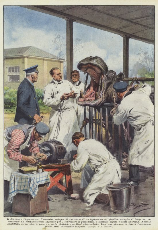 Il dentista e l