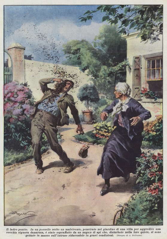 Il ladro punito da Achille Beltrame