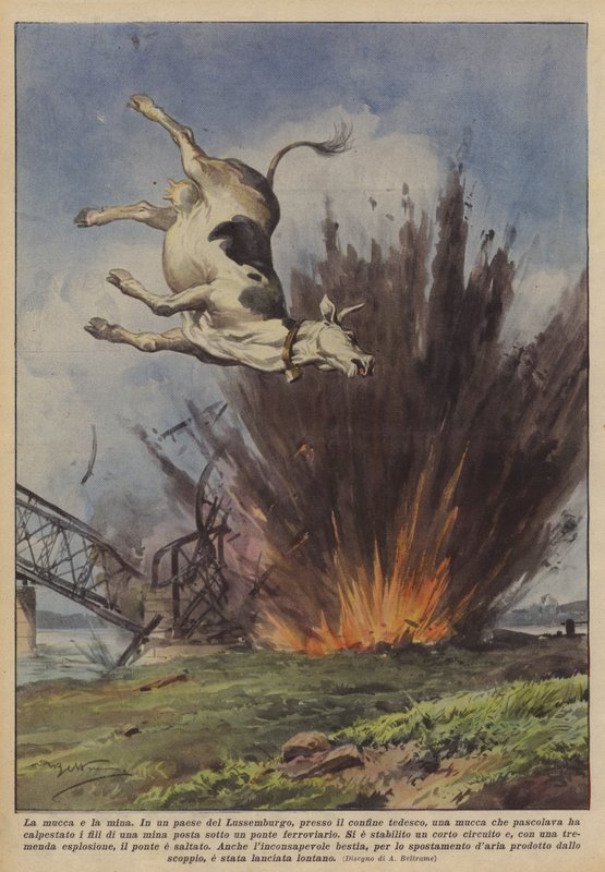 La mucca e la mina da Achille Beltrame