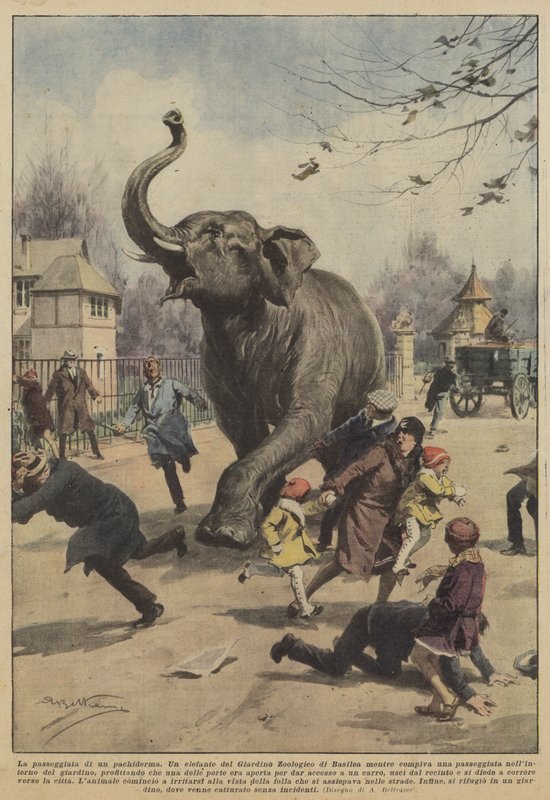 La passeggiata di un pachiderma da Achille Beltrame