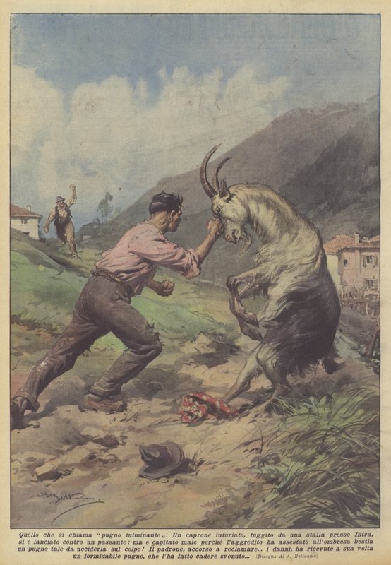 Quello che si chiama pugno fulminante da Achille Beltrame