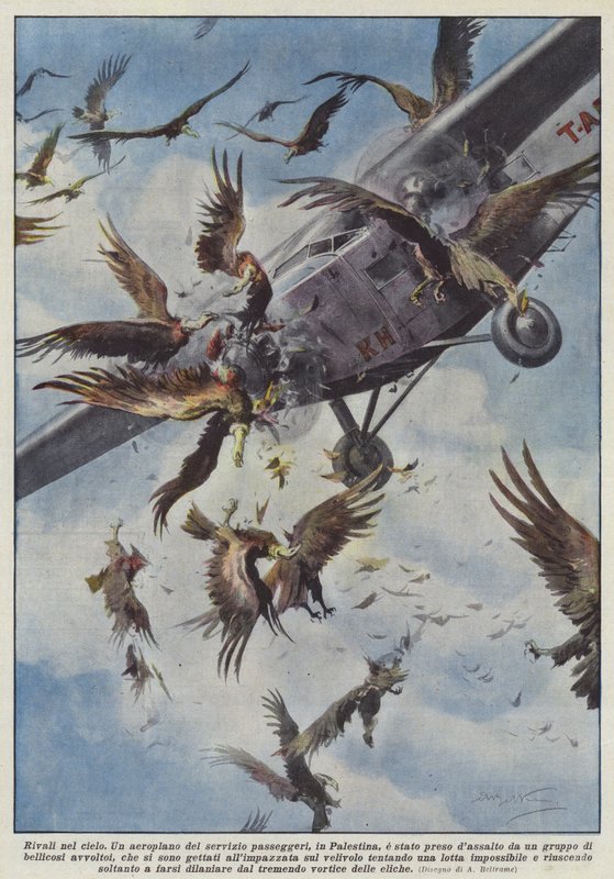 Rivali nel cielo da Achille Beltrame