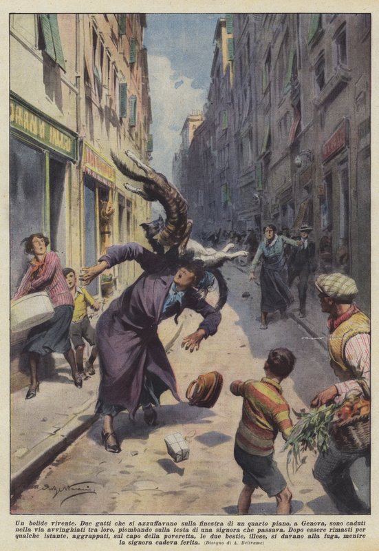 Un bolide vivente da Achille Beltrame