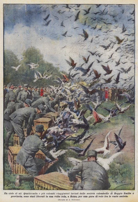Un cielo di ali da Achille Beltrame