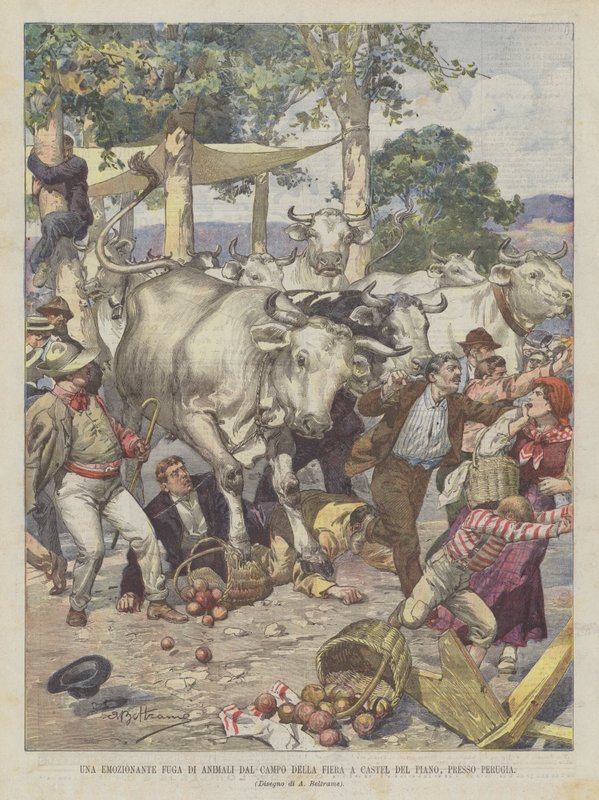 Una emozionante fuga di animali dal campo della fiera a Castel del Piano, presso Perugia da Achille Beltrame