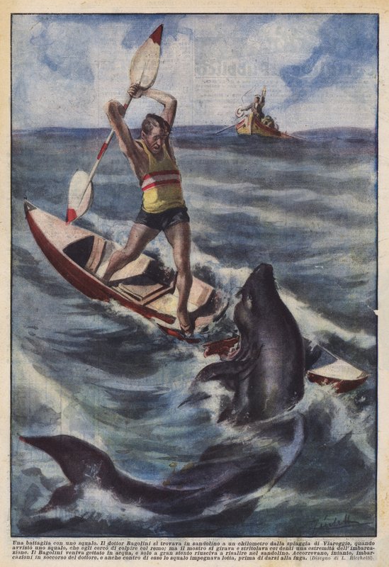 Una battaglia con uno squalo da Achille Beltrame