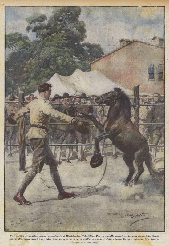 Una partita di pugilato senza precedenti, a Washington, Battling Tony cavallo campione dei pesi da Achille Beltrame